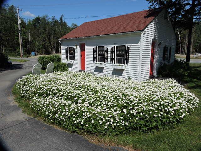 Open Hearth Inn Trenton Exterior photo