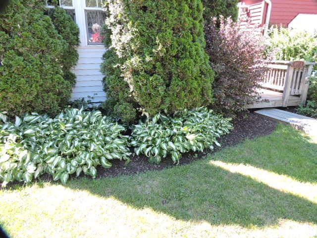 Open Hearth Inn Trenton Exterior photo
